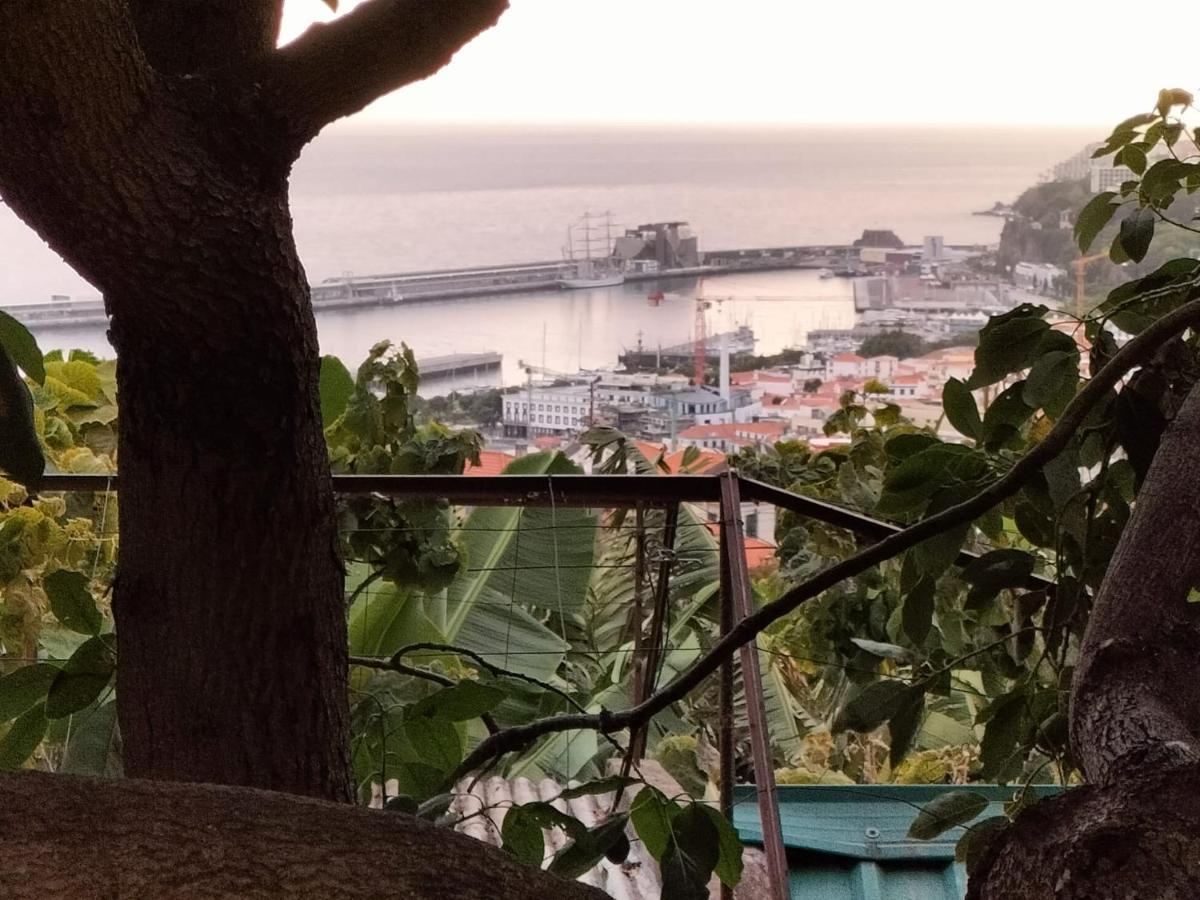 Quintinha Dos Reis Βίλα Φουνκάλ Εξωτερικό φωτογραφία